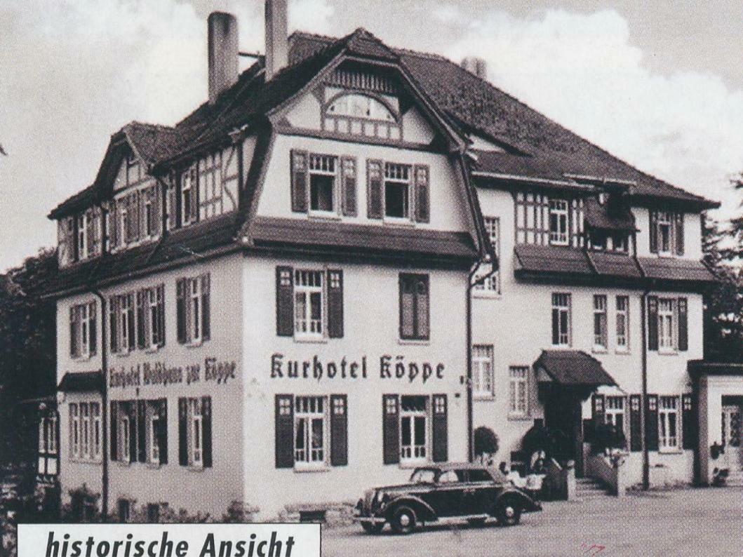 Hotel Zur Koeppe Бад Клостерлаусниц Екстериор снимка
